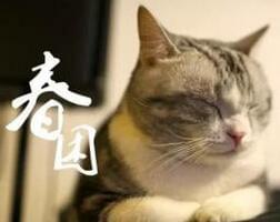 赶跑“春困”，神清气爽